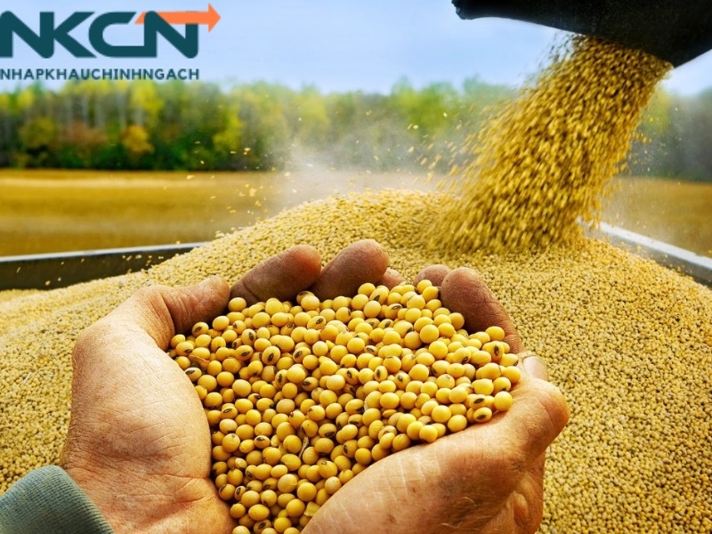 Thủ tục nhập khẩu nông sản Trung Quốc