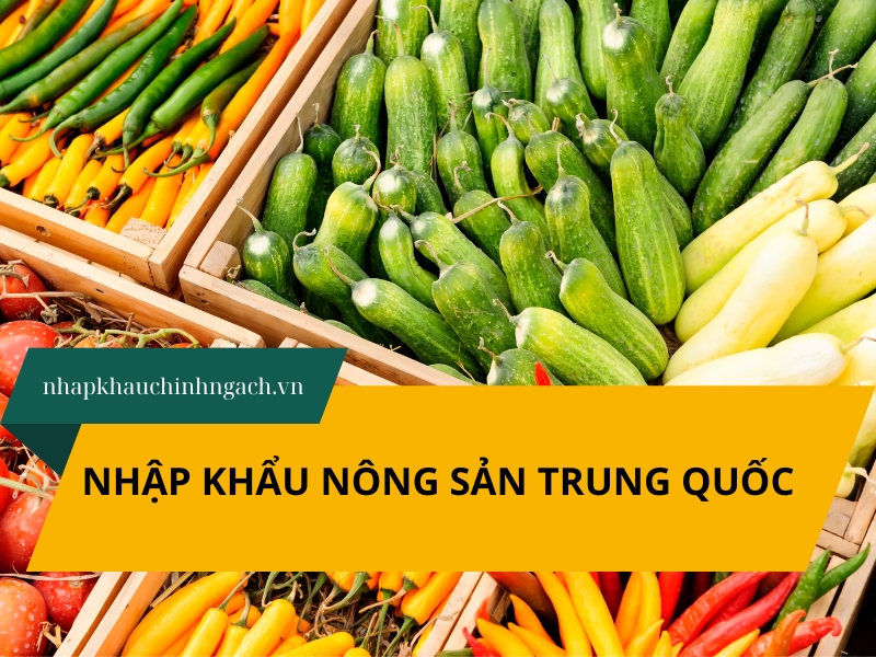 Thủ tục nhập khẩu nông sản Trung Quốc 2025 chi tiết A-Z