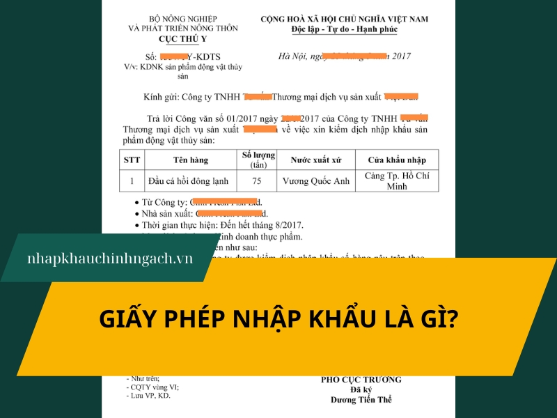 giấy phép nhập khẩu là gì
