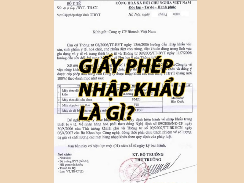 giấy phép nhập khẩu là gì