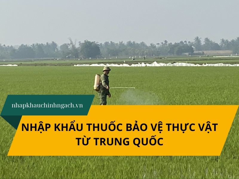 Thủ tục nhập khẩu thuốc bảo vệ thực vật từ Trung Quốc về Việt Nam