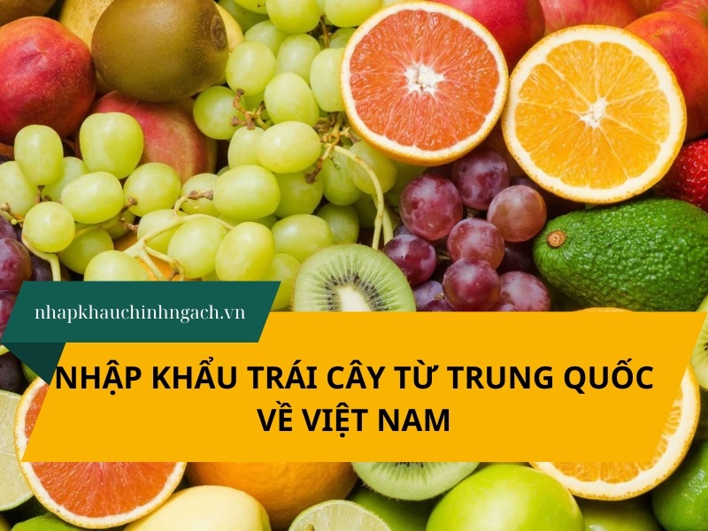 nhập khẩu trái cây từ trung quốc