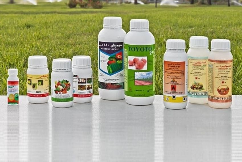 nhập khẩu thuốc bảo vệ thực vật từ Trung Quốc