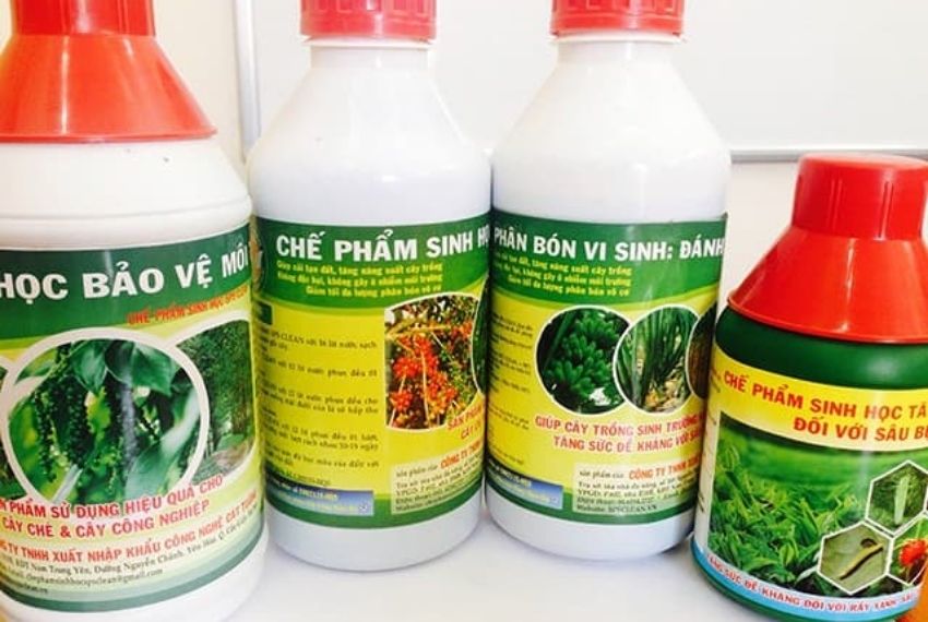 nhập khẩu thuốc bảo vệ thực vật từ Trung Quốc