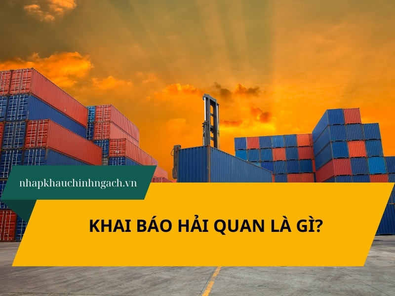 Khai báo hải quan là gì? Thông tin chi tiết, cập nhật mới 2025