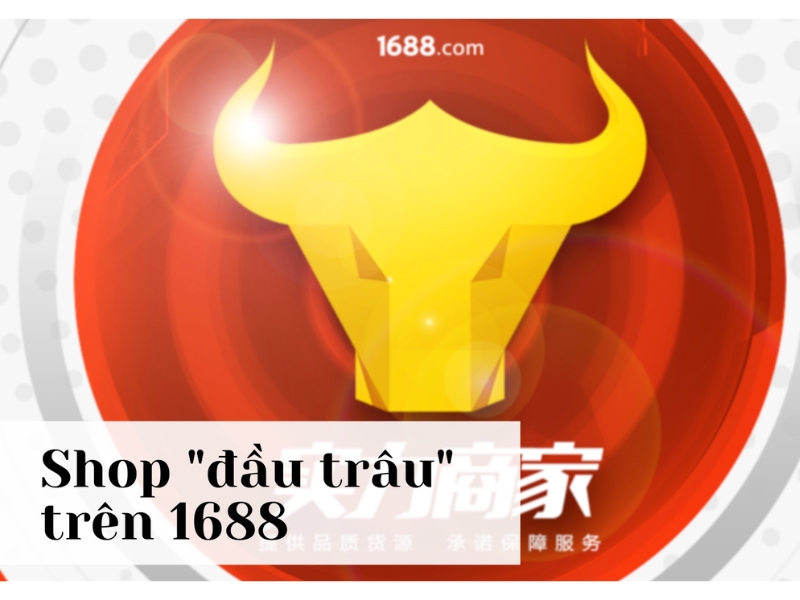 mua hàng trên 1688 có tốt không