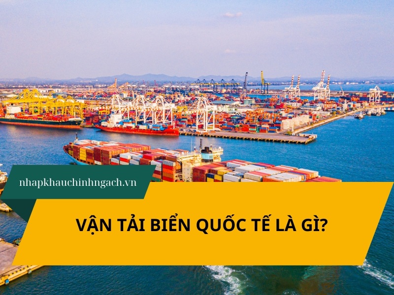 Vận tải biển quốc tế là gì? UPDATE giá cước vận tải biển 2025