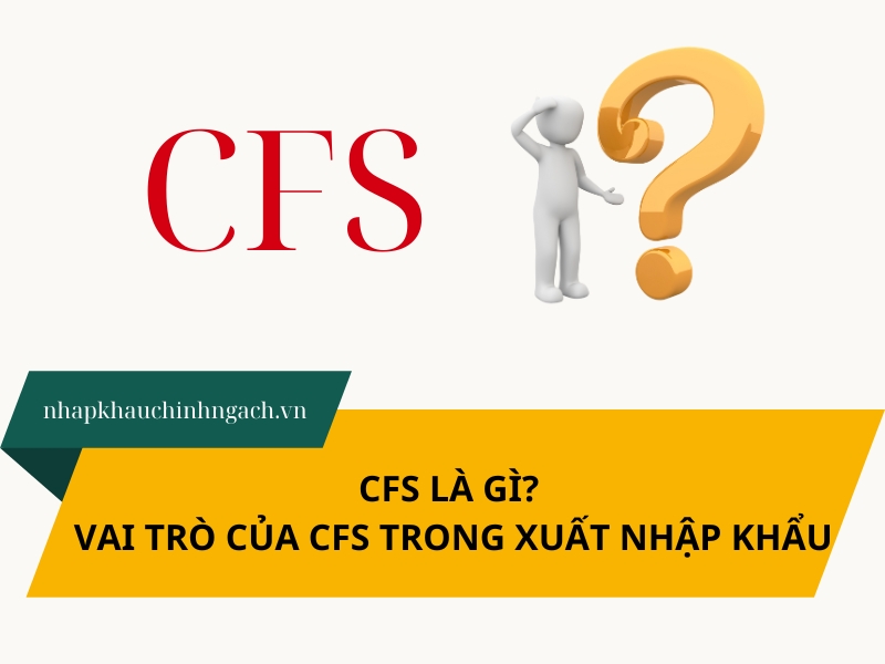 CFS là gì trong xuất nhập khẩu? Vai trò và quy trình hoạt động của CFS
