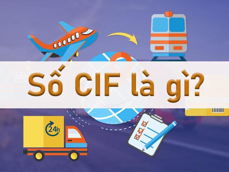 giá cif là gì