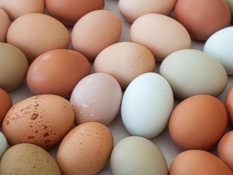 hạn ngạch thuế quan là gì