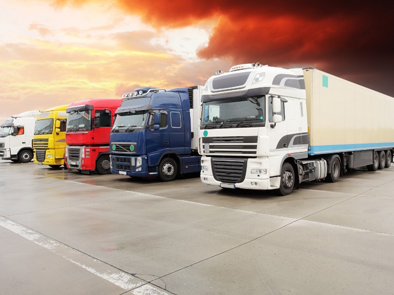 kho thẩm quyến trung quốc