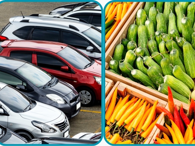 mặt hàng nhập khẩu chính ngạch