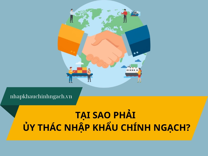Ủy thác nhập khẩu là gì? Tại sao phải ủy thác nhập khẩu chính ngạch?