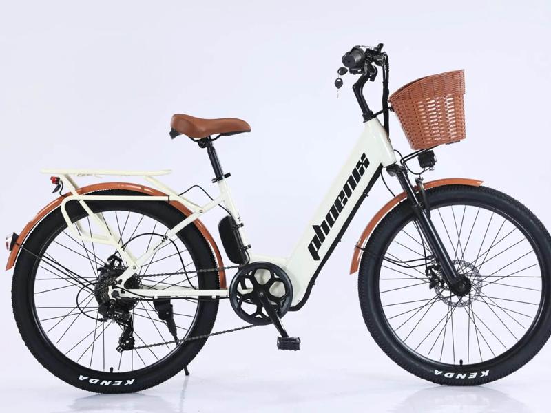 nhập xe đạp Trung Quốc chính ngạch