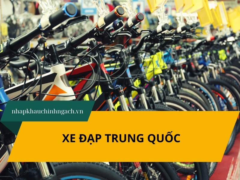 10+ Thương hiệu xe đạp Trung Quốc nổi tiếng chất lượng, giá rẻ