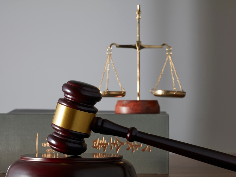 xe hải quan chính ngạch là gì