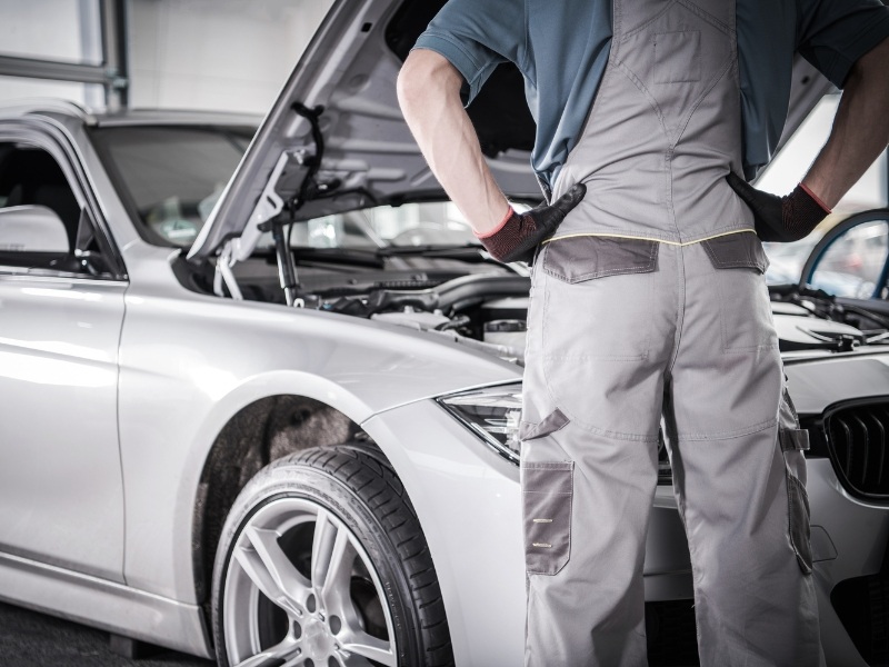 xe hải quan chính ngạch