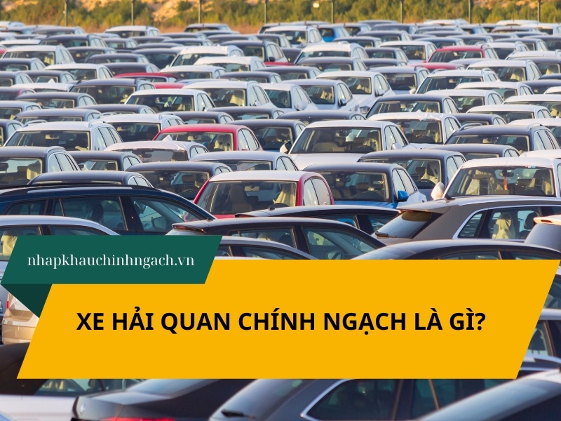 Xe hải quan chính ngạch là gì? Ưu nhược điểm của xe HQCN