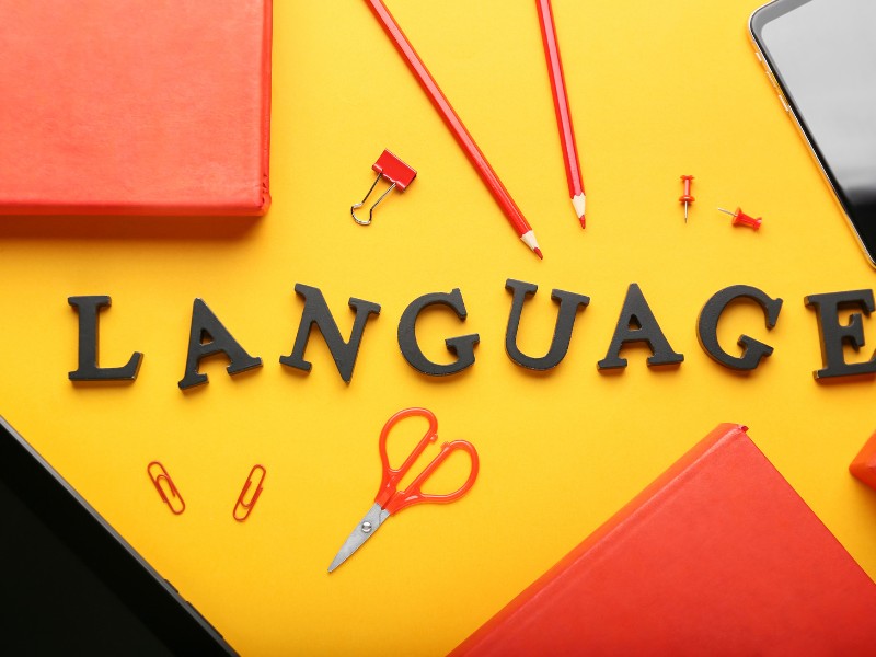 cách xưởng sản xuất trên 1688