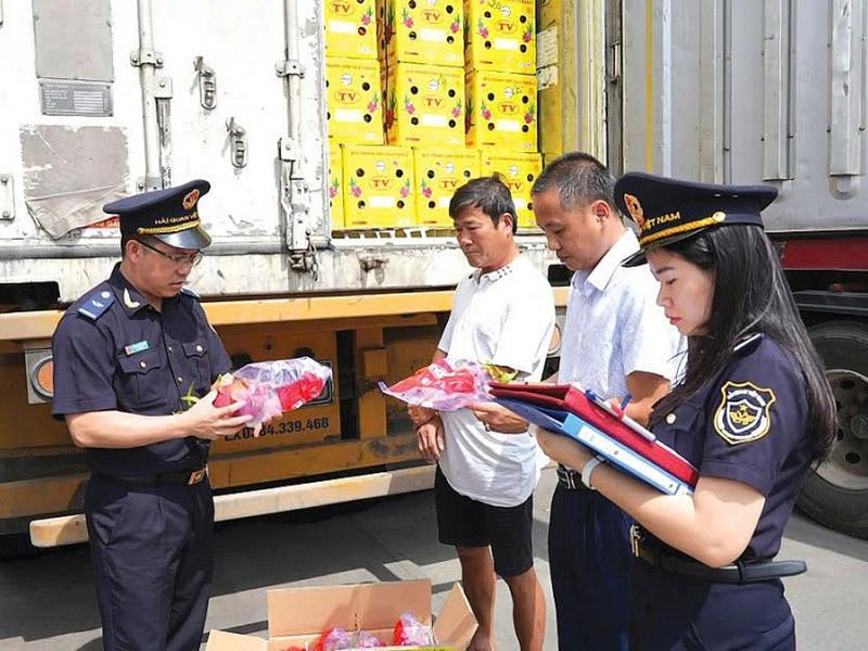 co là gì trong xuất nhập khẩu