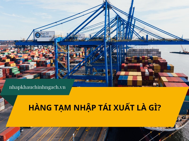 hàng tạm nhập tái xuất là gì
