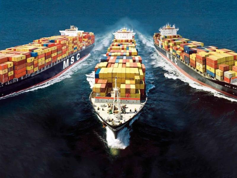 shipping line là gì