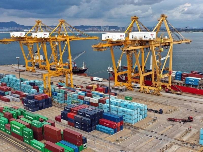 Shipping line là gì