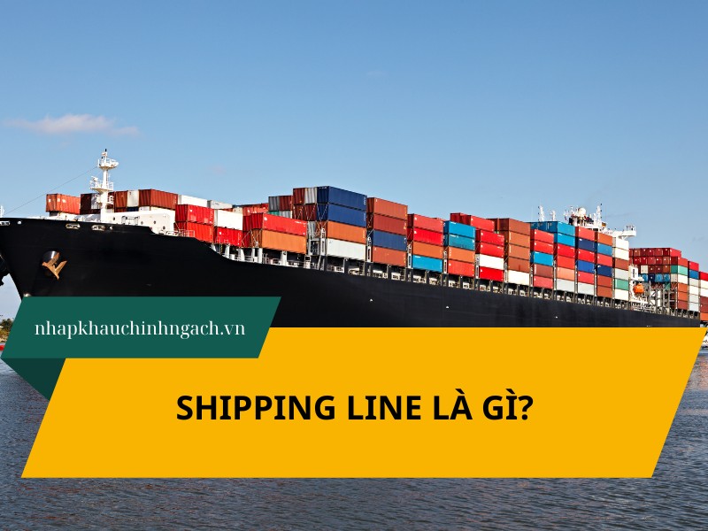 shipping line là gì