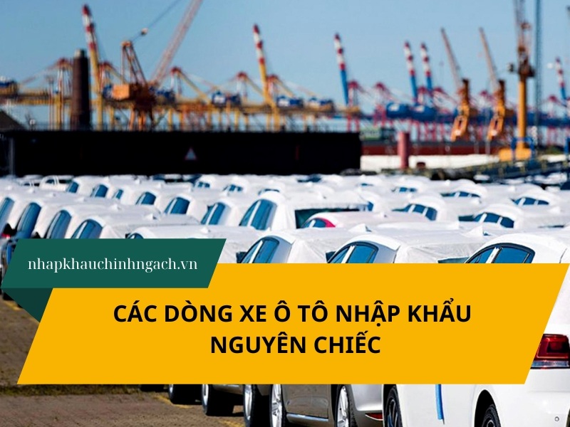 Các dòng xe ô tô nhập khẩu nguyên chiếc được ưa chuộng nhất 2026
