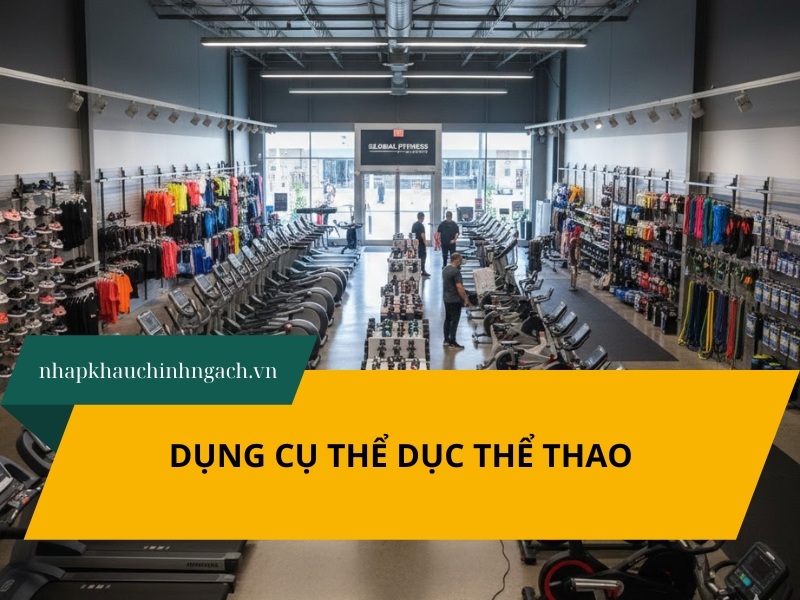 Dụng cụ thể thao gồm những gì? Nguồn hàng dụng cụ thể dục thể thao