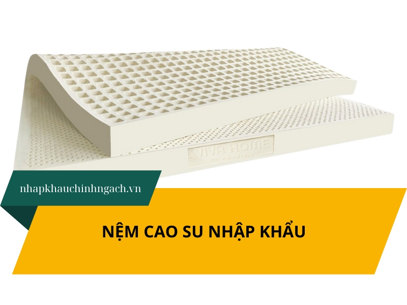 Kinh doanh nệm cao su nhập khẩu: Thủ tục và lưu ý mới nhất 2026