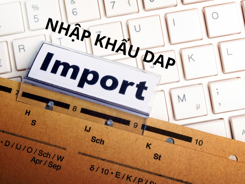 nhập khẩu dap là gì