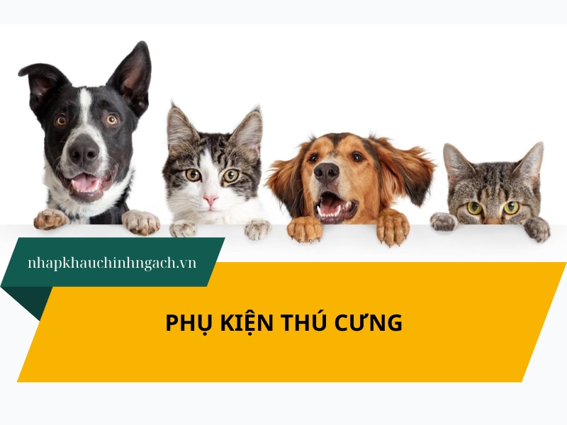 4 nguồn hàng sỉ phụ kiện thú cưng, chó mèo giá tốt #2026