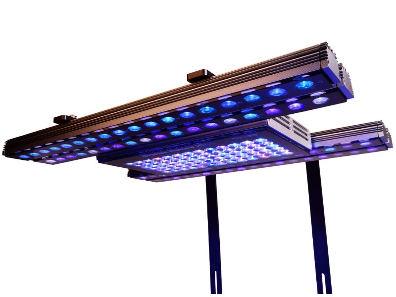 phụ kiện thủy sinh