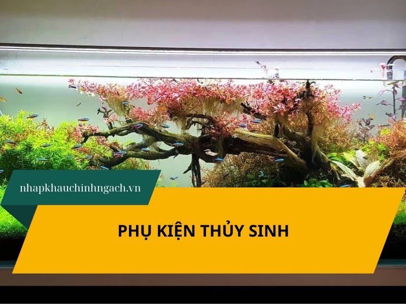 8 phụ kiện thủy sinh cần thiết cho bể cá thủy sinh hiện đại