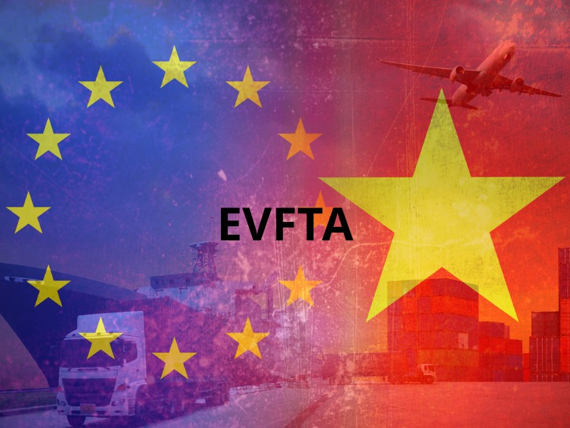 các loại thuế nhập khẩu