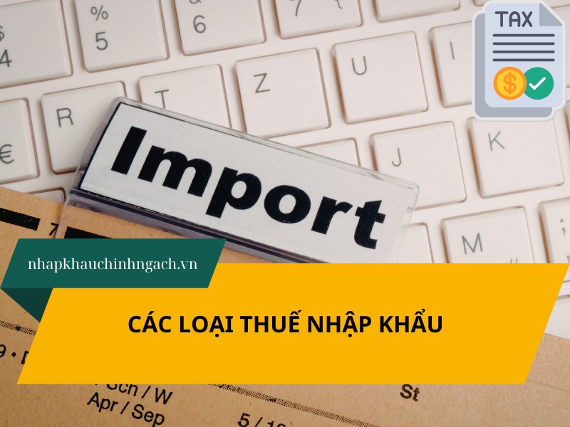 các loại thuế nhập khẩu