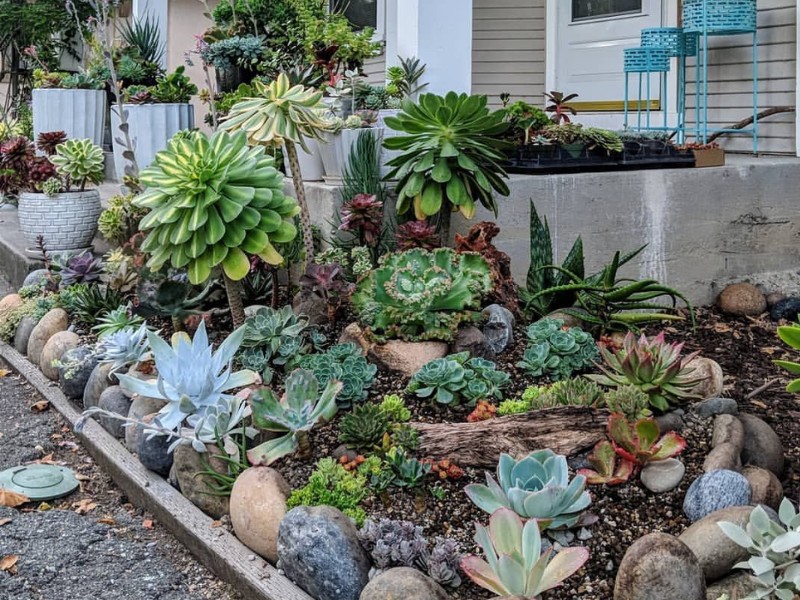 xu hướng kinh doanh 5 năm tới