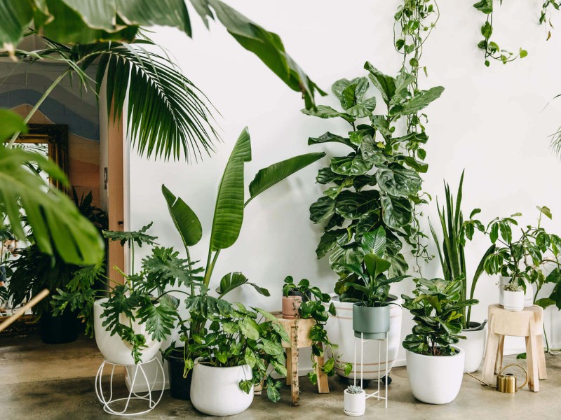 kinh doanh gì với vốn 5 - 10 triệu