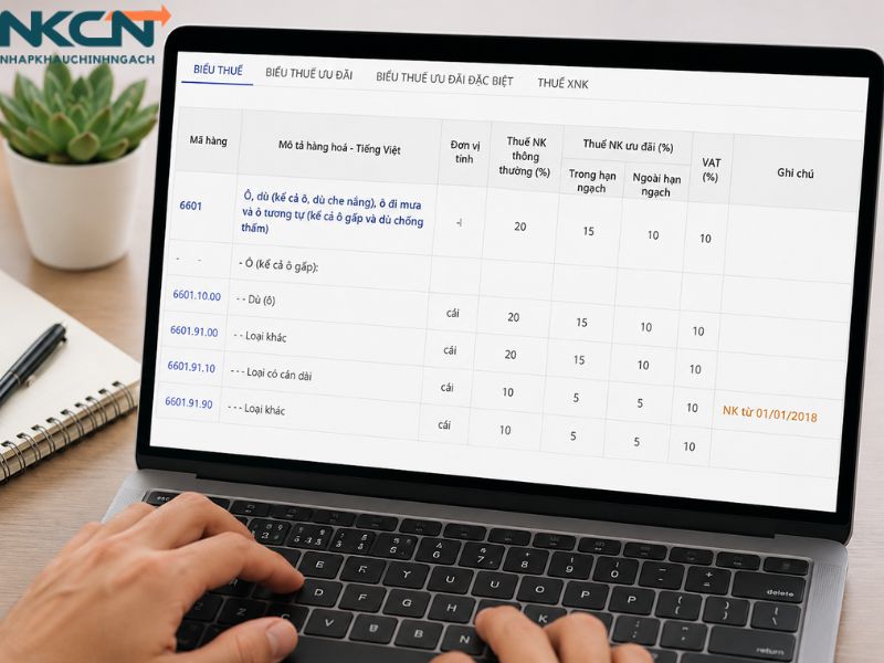 thủ tục nhập khẩu ô dù trung quốc