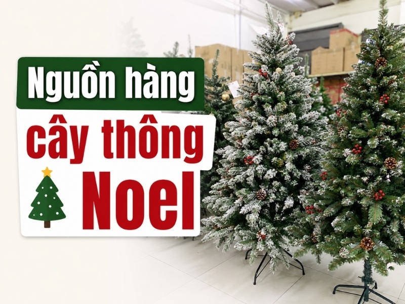 Nguồn hàng cây thông Noel giá tốt, dễ nhập số lượng lớn